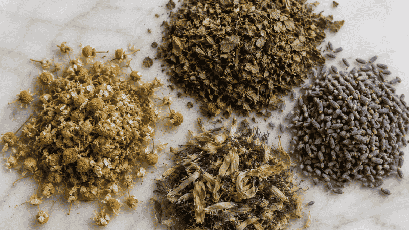 A flat lay of dried herbal tea ingredients for sleep including chamomile flowers, lavender buds, passionflower, and lemon balm leaves arranged on a white surface